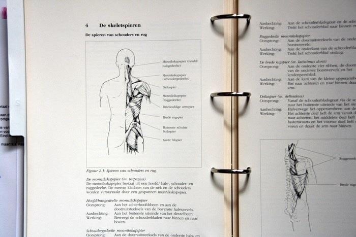 Gert de Goede KOC lesboek illustraties illustratie corpus skelety spieren kunst boek leerboek Kappers opleidings centrum 