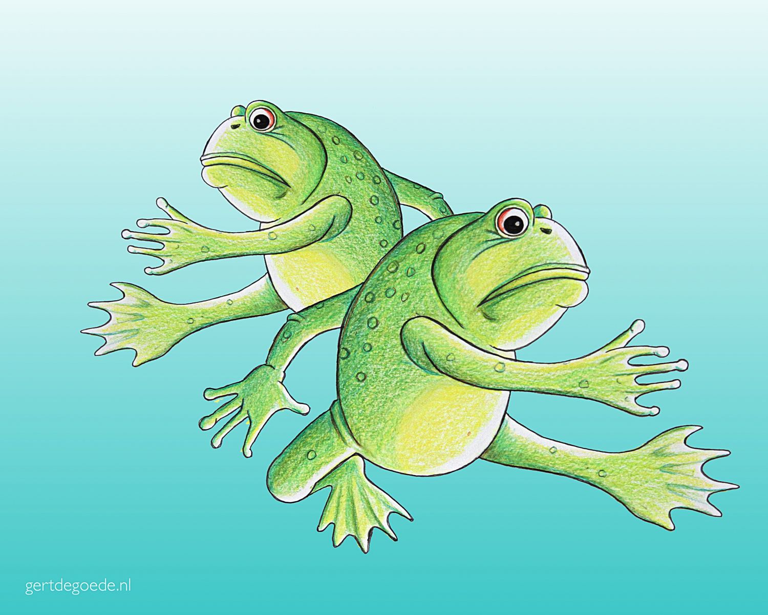 kikker frog frogs kikkers froschen #illustration #illustrator #illustratie #illustrazione #illustrazioni #ambachtelijk #ambacht #vrolijk #happy #fun #cheerful #cartoon #comic #photoedit #thumbsup #artwork #fröhlich #cheerful #gai #glædelig #lëschtegb #快活 插图 gert de goede Gert de Goede 